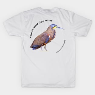 Bare-throated tiger heron tropical bird pin T-Shirt